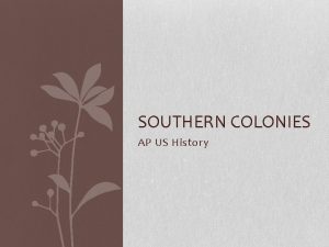 SOUTHERN COLONIES AP US History Southern Colonies General