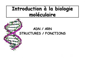 Introduction la biologie molculaire ADN ARN STRUCTURES FONCTIONS