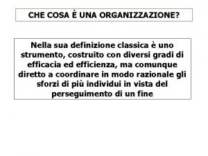 CHE COSA UNA ORGANIZZAZIONE Nella sua definizione classica