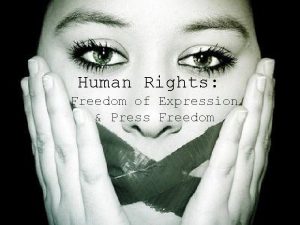 Human Rights Freedom of Expression Press Freedom Thesis