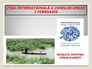 ZIUA INTERNAIONAL A ZONELOR UMEDE 2 FEBRUARIE NICOLETA