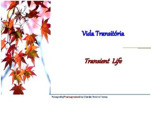 Vida Transitria Transient Life PsicografiaPsychographed by Divaldo Pereira