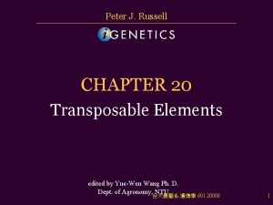 Peter J Russell CHAPTER 20 Transposable Elements edited