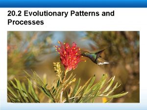 20 2 Evolutionary Patterns and Processes Learning Objectives