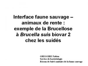 Interface faune sauvage animaux de rente exemple de