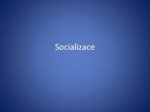 Socializace Rzn vznamy uplatovn uplatnn socialistickch zsad zvl