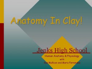 Anatomy In Clay Jenks High School Human Anatomy