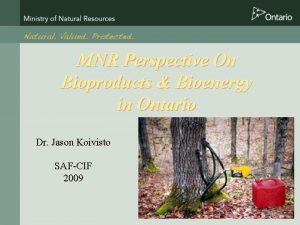 MNR Perspective On Bioproducts Bioenergy in Ontario Dr