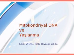 Mitokondriyal DNA ve Yalanma Cenk ARAL Tbbi Biyoloji