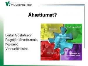 httumat Leifur Gstafsson Fagstjri httumats Edeild Vinnueftirlitsins Tungumli