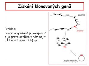 Zskn klonovanch gen Problm genom organism je komplexn