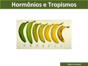 Hormnios e Tropismos Marcus Ferrassoli Hormnios e Tropismos