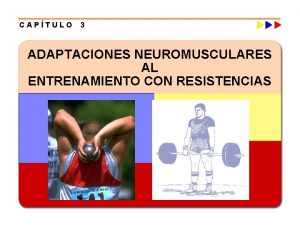 Fuerza maxima