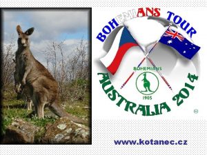 www kotanec cz PERTH PERTH PERTH PERTH PERTH