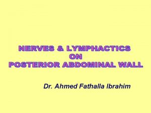 Dr Ahmed Fathalla Ibrahim LUMBAR PLEXUS LUMBAR PLEXUS