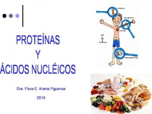 Dra Flora E Arana Figueroa 2016 GLUCIDOS Son