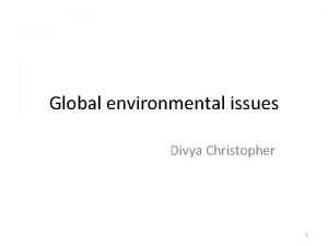 Global environmental issues Divya Christopher 1 Ozone depletion