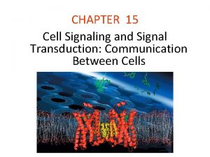 CHAPTER 15 Cell Signaling and Signal Transduction Communication