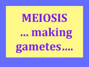 MEIOSIS making gametes Meiosis is Making the cells