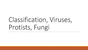 Classification Viruses Protists Fungi Classification Carlus Linneus The