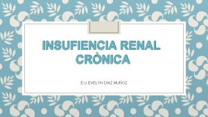 INSUFIENCIA RENAL CRNICA E U EVELYN DIAZ MUOZ