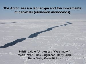 The Arctic sea ice landscape and the movements