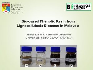 Biobased Phenolic Resin from Lignocellulosic Biomass In Malaysia