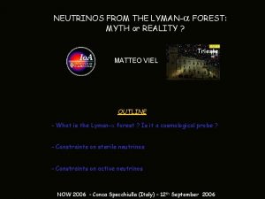 NEUTRINOS FROM THE LYMANa FOREST MYTH or REALITY