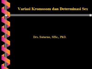 Variasi Kromosom dan Determinasi Sex Drs Sutarno MSc