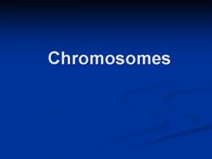 Chromosomes What Exactly is a chromosome Chromosomes are