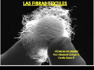 LAS FIBRAS TEXTILES TCNICAS DE DISEO Prof Elizabeth