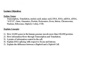 Lecture Objectives Define Terms Transcription Translation nucleic acid