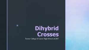 z Dihybrid Crosses Turner College Career High School