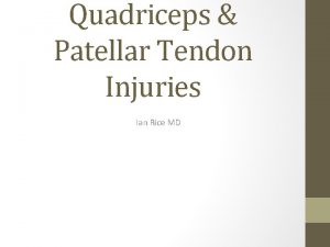 Quadriceps Patellar Tendon Injuries Ian Rice MD Introduction