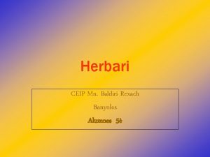 Herbari CEIP Mn Baldiri Rexach Banyoles Alumnes 5