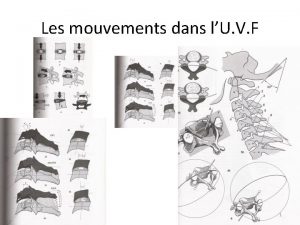 Les mouvements dans lU V F 1 Les