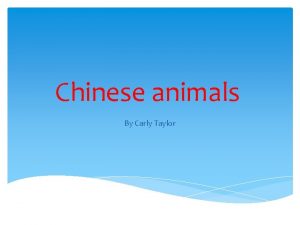 Chinese animals By Carly Taylor Panda Giant pandas