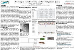 The Mosquito Hunt Biodiversity and Mosquito Species in