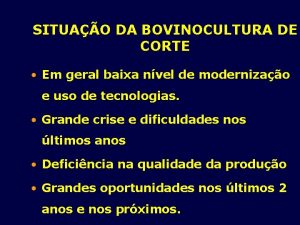 SITUAO DA BOVINOCULTURA DE CORTE Em geral baixa