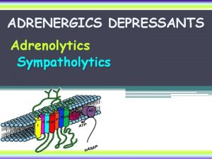 ADRENERGICS DEPRESSANTS Adrenolytics Sympatholytics Adrenoceptor Blockers Adrenolytics Alpha