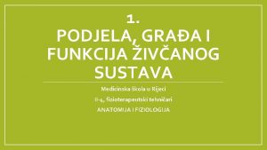 1 PODJELA GRAA I FUNKCIJA IVANOG SUSTAVA Medicinska