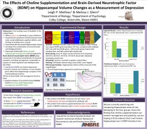 The Effects of Choline Supplementation and BrainDerived Neurotrophic