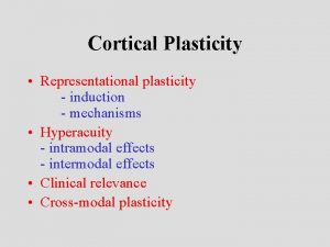 Cortical Plasticity Representational plasticity induction mechanisms Hyperacuity intramodal