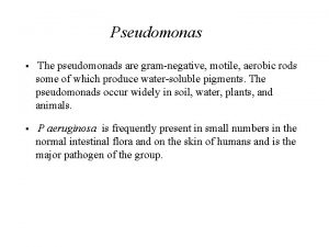 Pseudomonas The pseudomonads are gramnegative motile aerobic rods