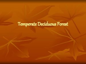 Temperate Deciduous Forest Temperate Deciduous Forest Location We