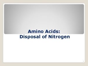 Amino Acids Disposal of Nitrogen 1 Overview Unlike