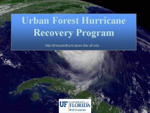 Urban Forest Hurricane Recovery Program http treesandhurricanes ifas