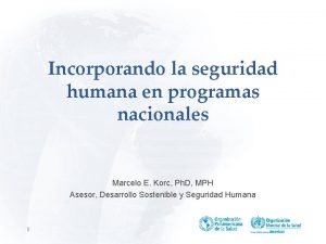 Incorporando la seguridad humana en programas nacionales Marcelo