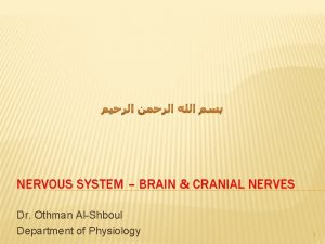 NERVOUS SYSTEM BRAIN CRANIAL NERVES Dr Othman AlShboul