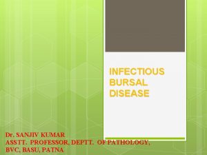 INFECTIOUS BURSAL DISEASE Dr SANJIV KUMAR ASSTT PROFESSOR